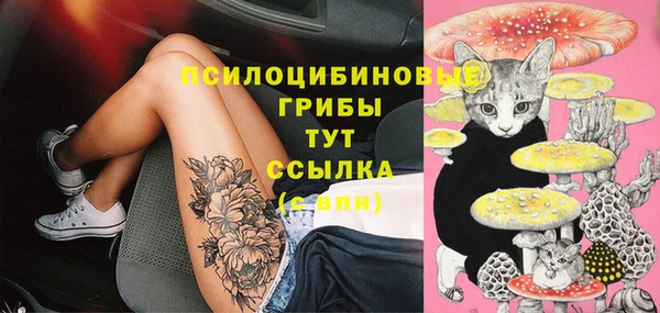 марки lsd Покачи