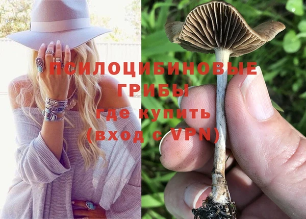 COCAINE Белокуриха
