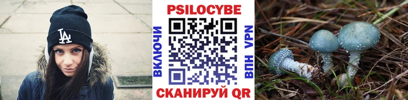 магазин    Колпашево  mega вход  Псилоцибиновые грибы прущие грибы 